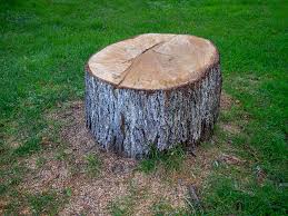  Arp, TX Tree Services Pros