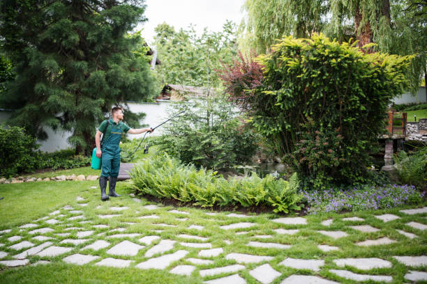 Best Tree and Shrub Care  in Arp, TX