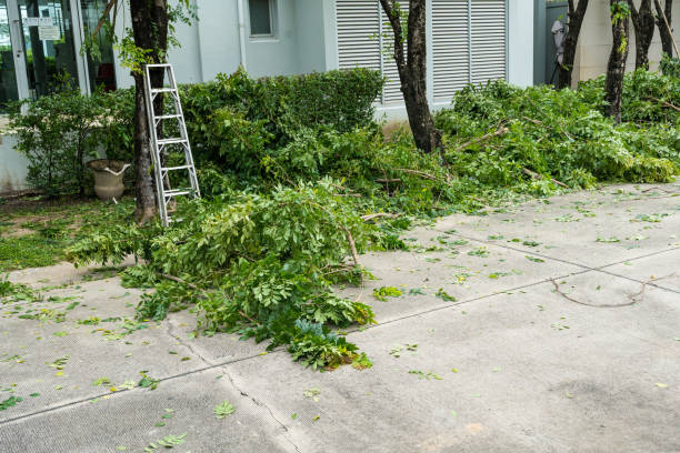 Best Lot and Land Clearing  in Arp, TX