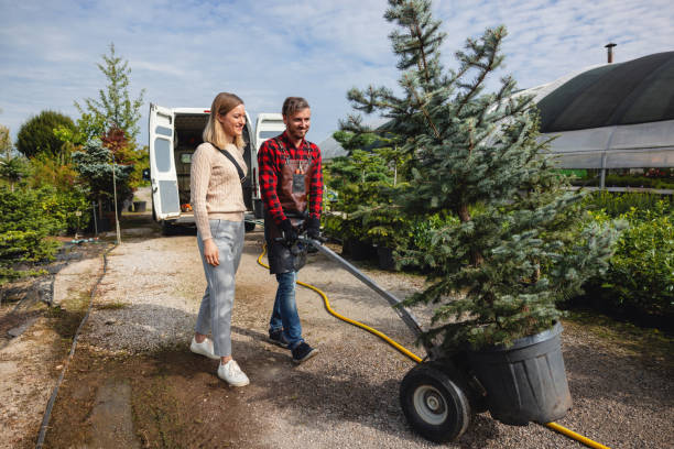 Best Tree Mulching  in Arp, TX